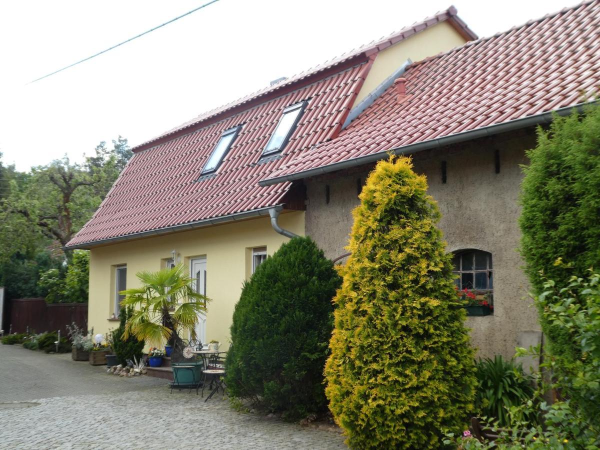Ferienhaus Hennig ベルステラント エクステリア 写真
